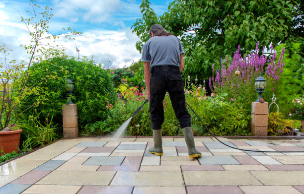 Best Residential Pressure Washing in Pembroke, NC